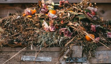 can you put compost on top of soil