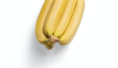 do banana plants grow bananas