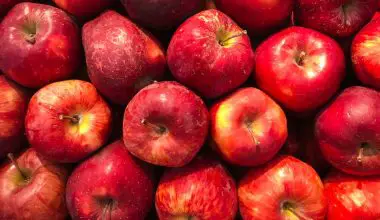 when to harvest apples in ireland