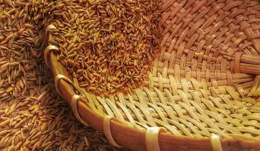 where do rice seeds come from