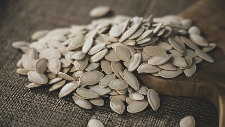 how to shell pumpkin seeds