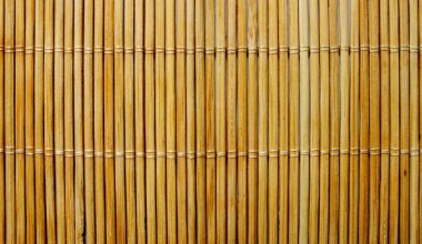 how to trim bamboo plants indoor