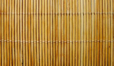 how to trim bamboo plants indoor