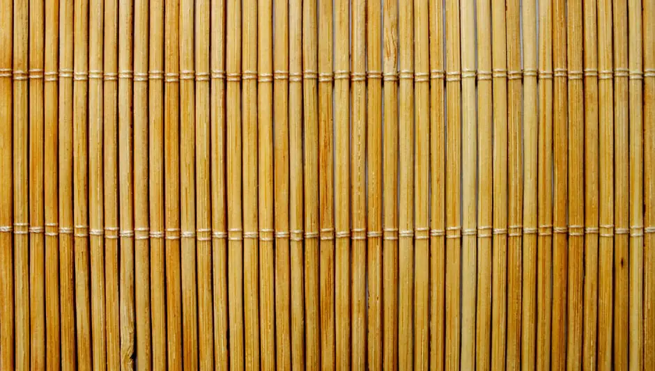 how to trim bamboo plants indoor