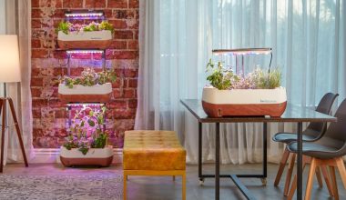 how do plant grow lights work