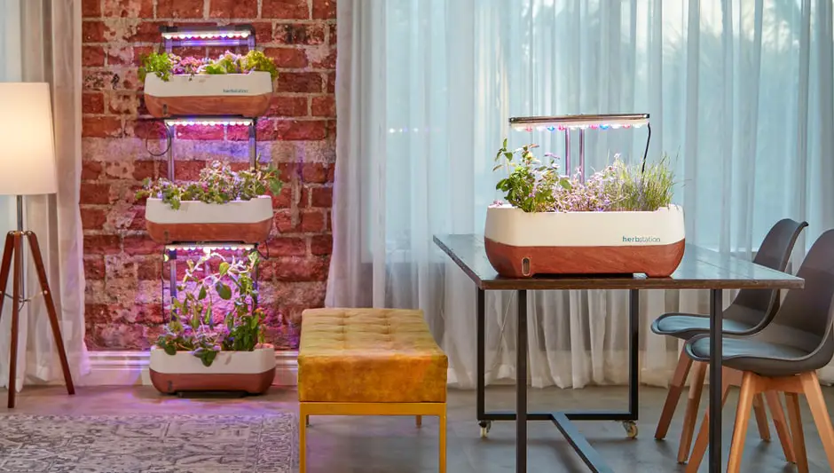 How Do Plant Grow Lights Work? (Easy & Clear Answer)