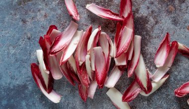 how to plant endive seeds