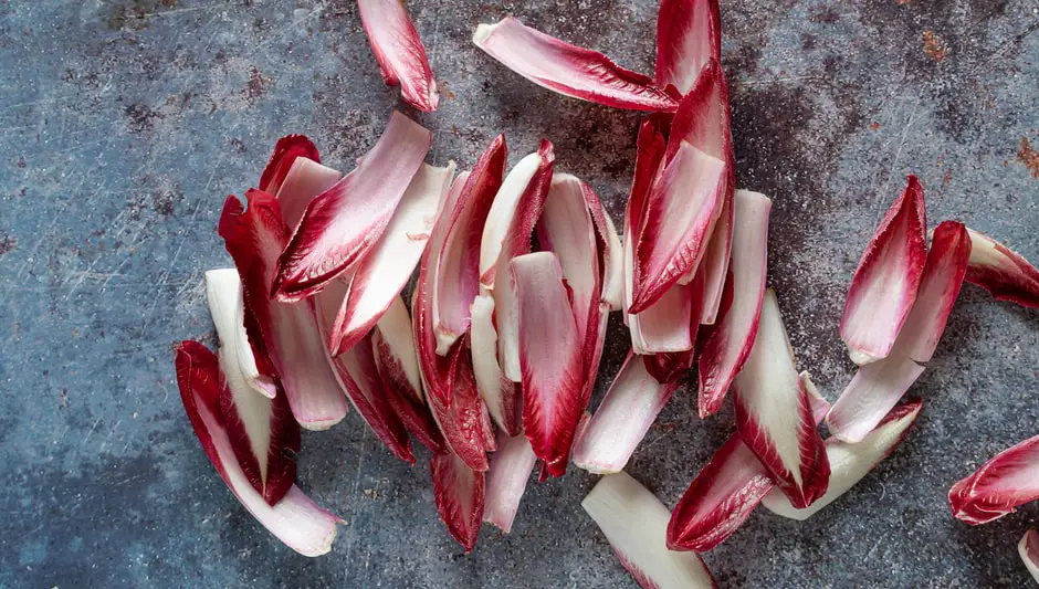 how to plant endive seeds