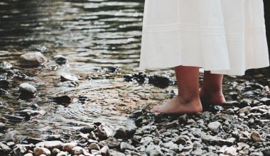 how to place stepping stones landscaping