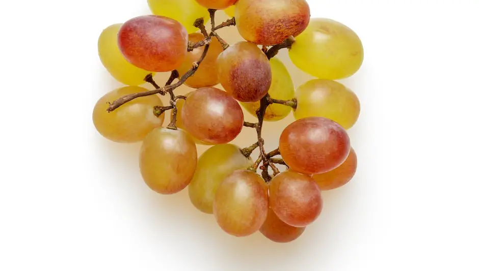should you mulch grape vines