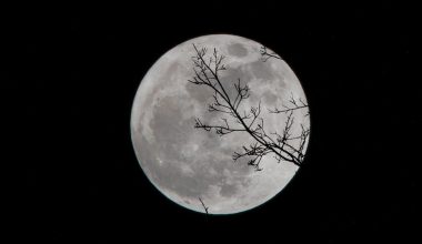 what time can i see the harvest moon tonight