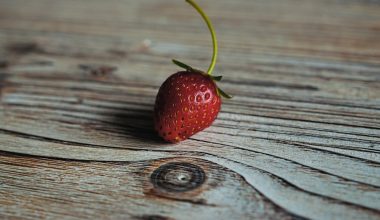 what to serve on a harvest table