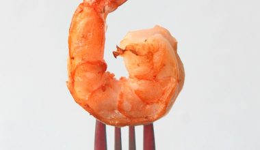 how to compost shrimp shells
