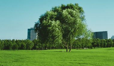 do i need to remove grass before landscaping