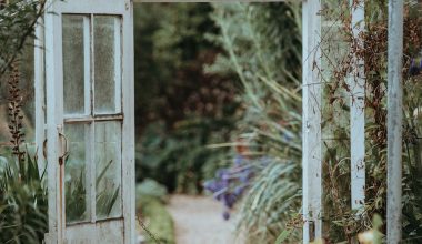 how to make a small greenhouse for plants