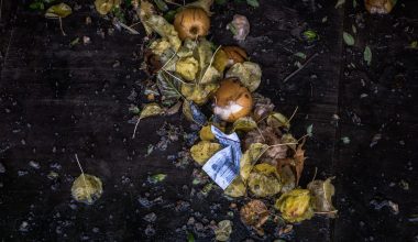 can you keep a compost bin in the garage