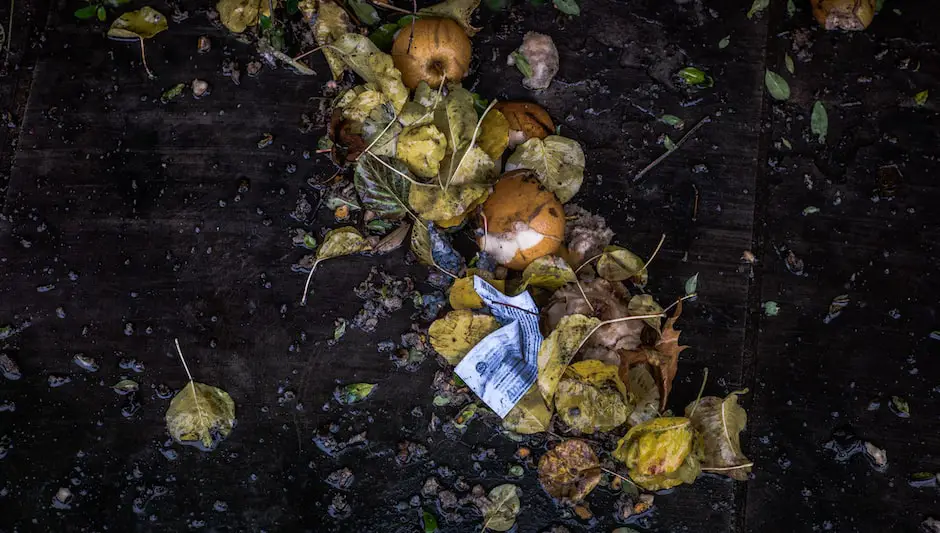 can moldy food go in compost