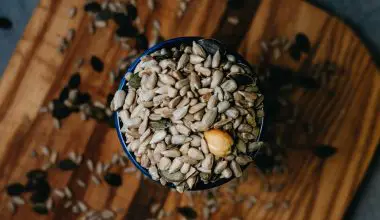 what do chia seeds grow