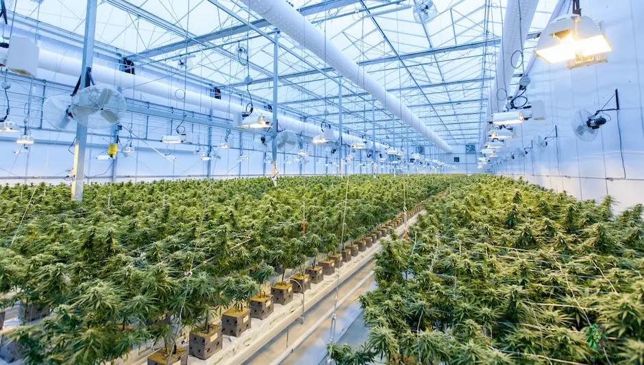 why are greenhouses bad for the environment