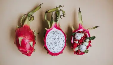 how to prepare dragon fruit seeds for planting