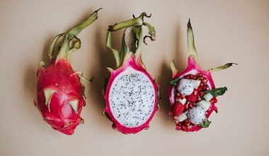 are cantaloupe seeds edible