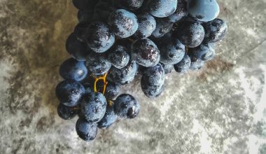 how to hang grape vines