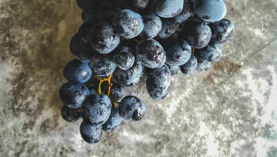 how to hang grape vines