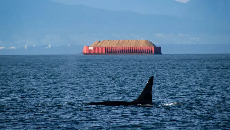 How To Stop Weeds Growing Around Trees? Complete Explanation