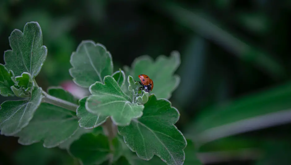 when do you prune butterfly bushes