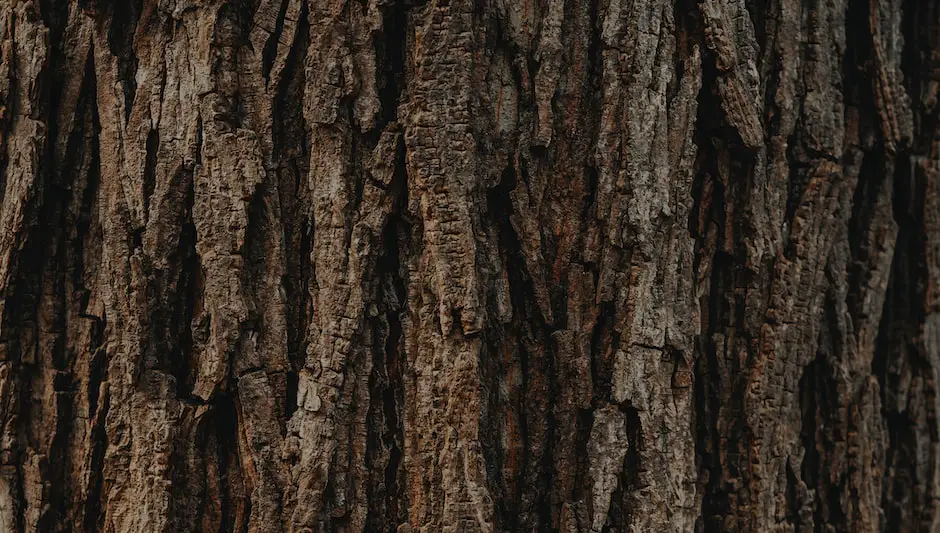 how to save a tree with damaged bark