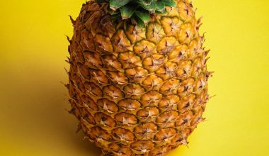 how to grow a pineapple plant from seed