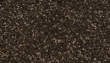 where are chia seeds grown in india