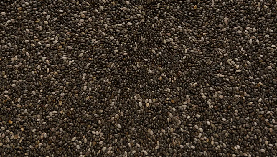 where are chia seeds grown in india