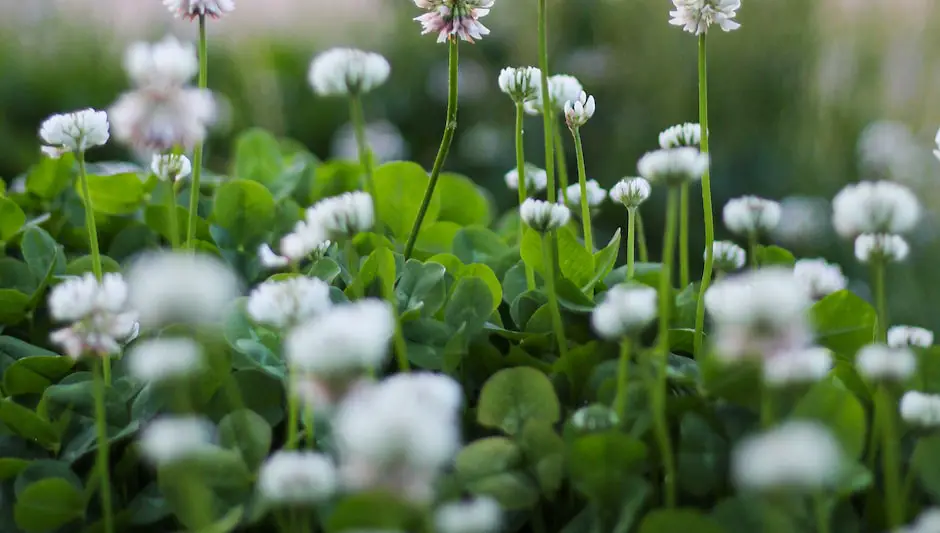 will landscapers pull weeds