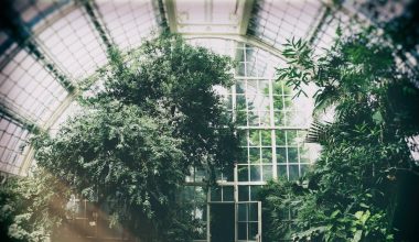 how often should you water plants in a greenhouse