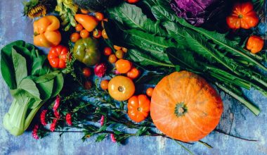 how do you know when to harvest acorn squash