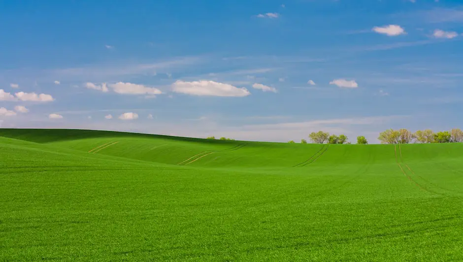 how much water does grass seed need