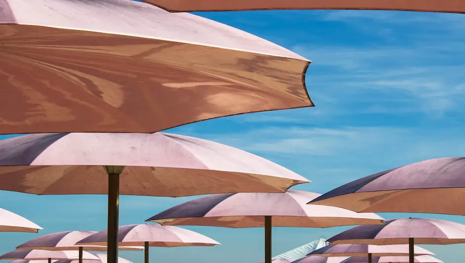 What Flowers Can Grow In Shade? (Explanation Inside!)