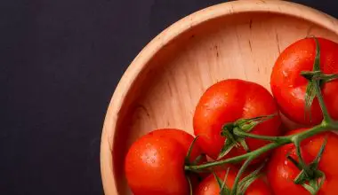 how to remove seeds from tomatoes
