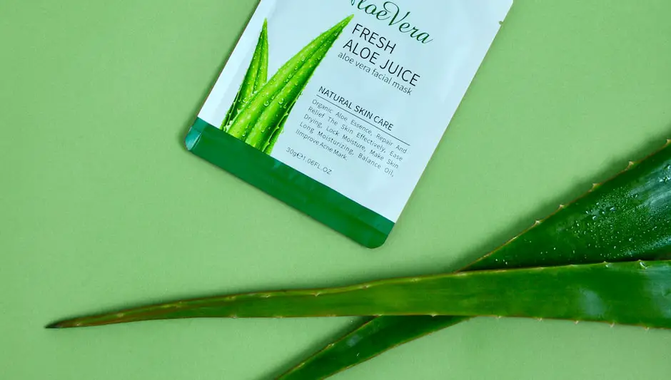 can aloe vera plants grow outside