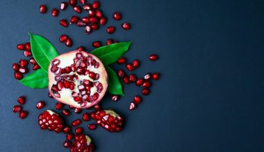 how to harvest quinoa