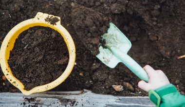 what container to use for compost