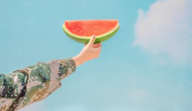 how to cut watermelon without seeds