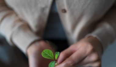 what trees grow in shade