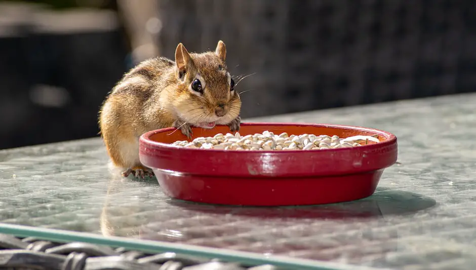 do chipmunks eat garden vegetables