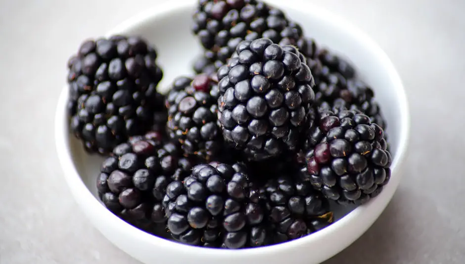 how to prune wild blackberries