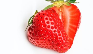 can i compost strawberries