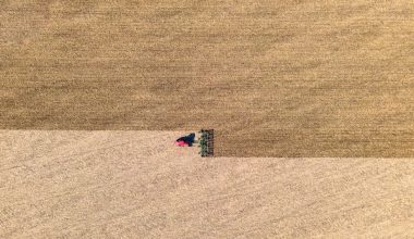 is tilling bad for soil