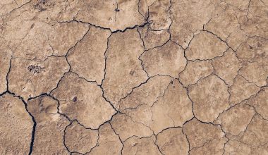 should you mulch in the fall