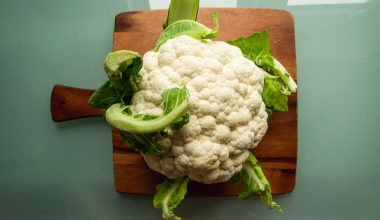 how to grow cauliflower in a garden